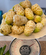 Load image into Gallery viewer, Noni Fruit