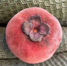 Load image into Gallery viewer, Velvet Apple aka Mabolo (Seedless)- (Aug-Sep)