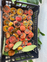 Load image into Gallery viewer, Velvet Apple aka Mabolo (Seedless)- (Aug-Sep)