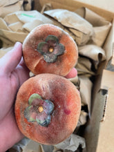 Load image into Gallery viewer, Velvet Apple aka Mabolo (Seedless)- (Aug-Sep)