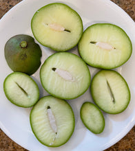 Load image into Gallery viewer, Mango - Baby Green Tommy Atkins (Mar-Apr)