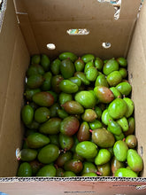 Load image into Gallery viewer, Mango - Baby Green Tommy Atkins (Mar-Apr)
