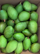 Load image into Gallery viewer, Mango - Baby Green Tommy Atkins (Mar-Apr)