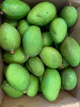 Load image into Gallery viewer, Mango - Baby Green Tommy Atkins (Mar-Apr)
