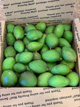 Load image into Gallery viewer, Mango - Baby Green Tommy Atkins (Mar-Apr)