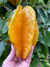 Load image into Gallery viewer, Star Fruit Mixed Box (Aug-Sep & Dec-Jan)