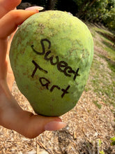 Load image into Gallery viewer, Mango - PREMIUM MANGO MIXED BOX (PRE-SALE)