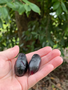 Jamun (Jul-Sep)