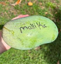 Load image into Gallery viewer, Mango - Mallika