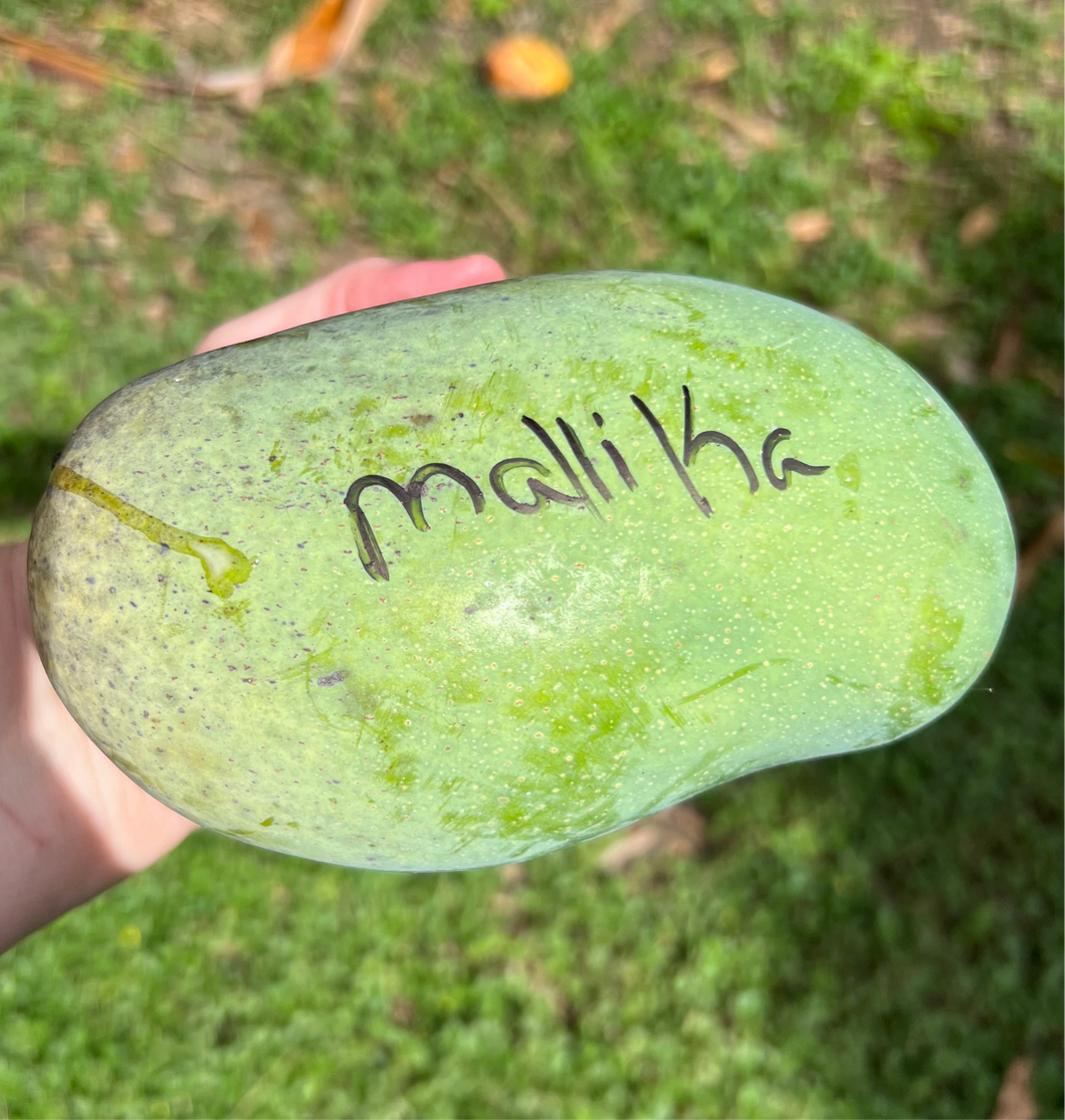 Mango - Mallika
