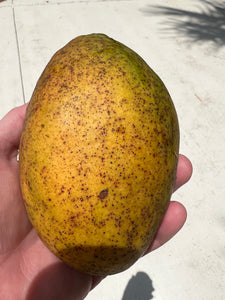 Mango - Pickering