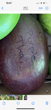 Load image into Gallery viewer, Mango - PREMIUM MANGO MIXED BOX (PRE-SALE)