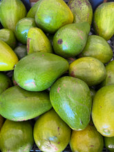Load image into Gallery viewer, Avocado - Seasonal Mix Box (Jul-Jan)