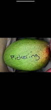 Load image into Gallery viewer, Mango - Pickering