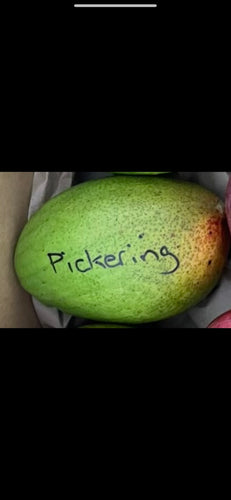 Mango - Pickering