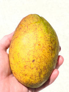 Mango - Pickering