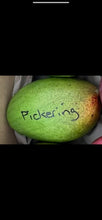 Load image into Gallery viewer, Mango - PREMIUM MANGO MIXED BOX (PRE-SALE)