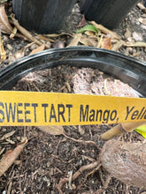 Load image into Gallery viewer, Mango - SWEET TART