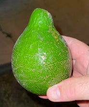 Load image into Gallery viewer, Avocado - Seasonal Mix Box (Jul-Jan)