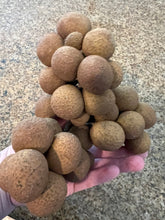 Load image into Gallery viewer, Longan - Biew Kiew (PRE-SALE HARVEST EXPECTED END OF JULY)