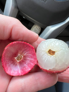 Lychee - Mauritius (May-Jun)