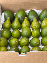 Load image into Gallery viewer, Avocado Mix Box (Jul-Dec)