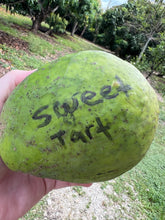 Load image into Gallery viewer, Mango - SWEET TART