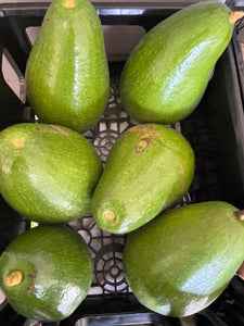 Avocado Mix Box (Jul-Dec)