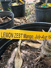 Load image into Gallery viewer, Mango - LEMON ZEST