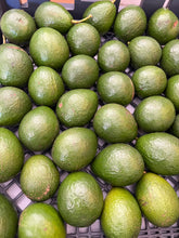 Load image into Gallery viewer, Avocado - Seasonal Mix Box (Jul-Dec)