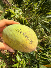 Load image into Gallery viewer, Mango - PREMIUM MANGO MIXED BOX (PRE-SALE)