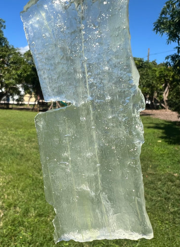 Aloe Vera Leaves