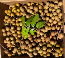 Load image into Gallery viewer, Longan - Kohala (July-August)