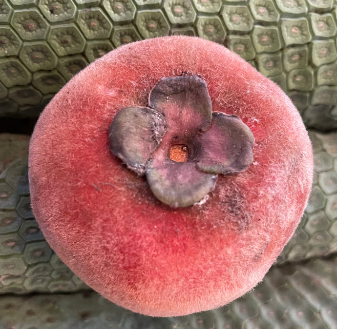 Velvet Apple aka Mabolo (Seedless)- (Aug-Sep)