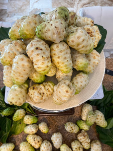 Noni Fruit