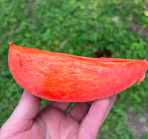 Mamey Sapote - Pantin/Key West (Aug-Sep)