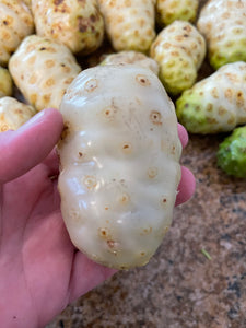 Noni Fruit