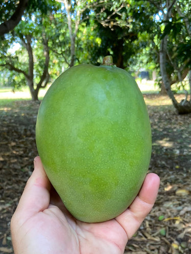 Green/Raw Mango (May)